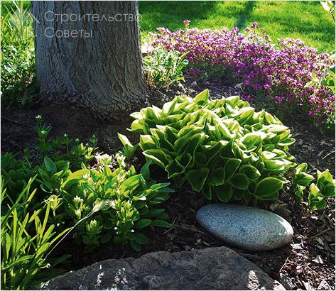 Рациональность размещения