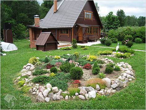 На дачном участке