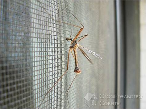 От комаров