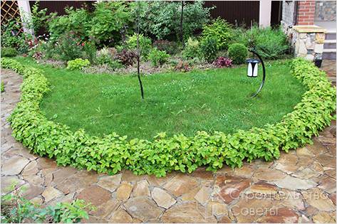 Декорирование