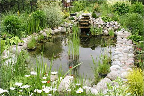 Особенности строительства водоема на даче