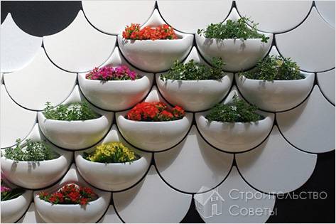 Цветы в доме