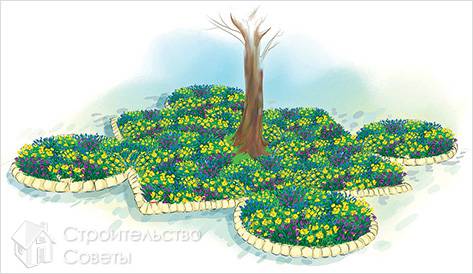 Варианты рассадки