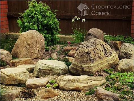 Виды рокариев