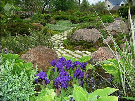 Выбор камней