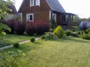 plan-dachnogo-uchastka_56_новый размер