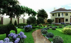 planirovka-dachnogo-uchastka-etapy-priemy-i-udachnye-resheniya-dlya-uchastkov-raznoy-formy-6_новый размер