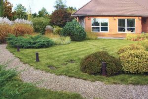 unnamed (6)_новый размер