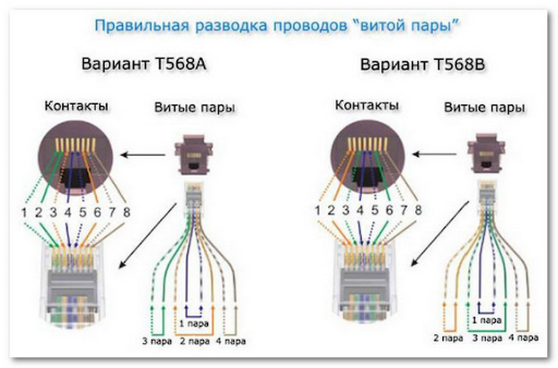 Как правильно подключить кабель к интернет розетке