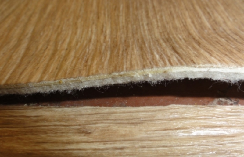 Плюсы и минусы линолеума: что нужно знать, при покупке