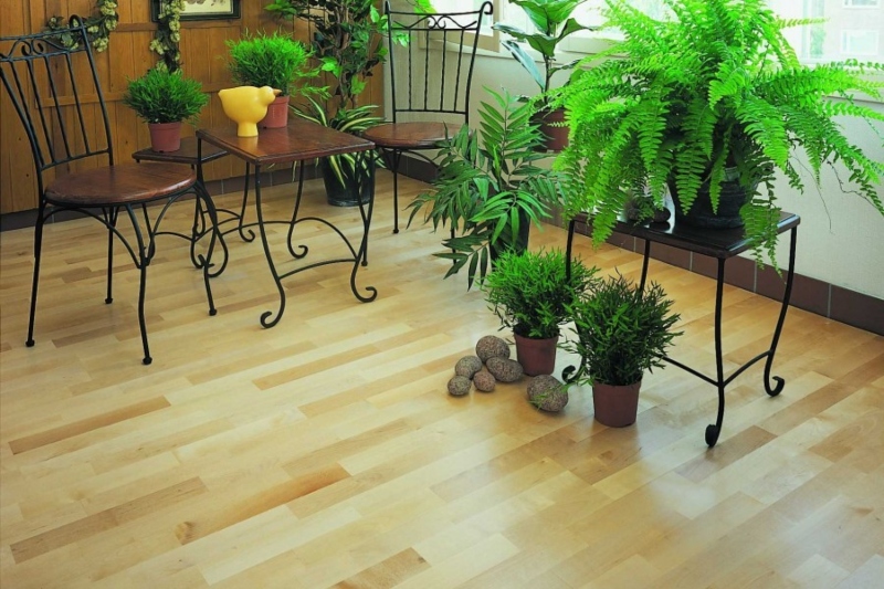 Плюсы и минусы линолеума: что нужно знать, при покупке