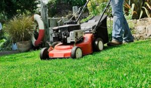 Какие бывают газонокосилки и как выбрать нужную