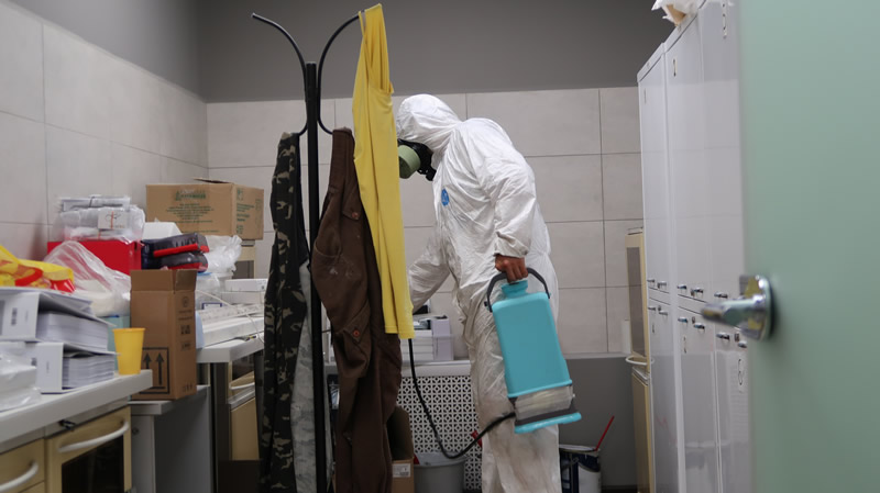 Уничтожение клопов