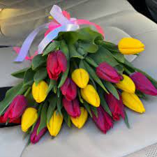 Почему приятно дарить тюльпаны