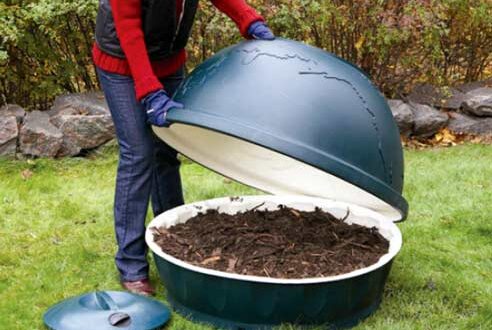 Как компост приносит пользу для сада и огорода