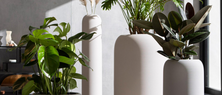 Как правильно пользоваться кашпо с автополивом