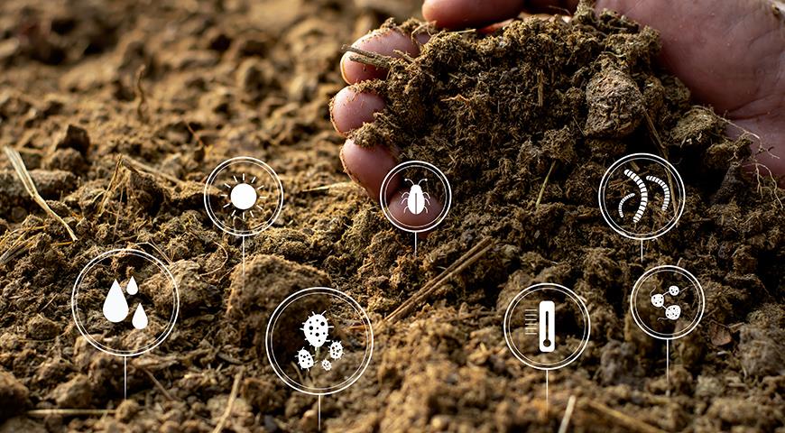 Как компост приносит пользу для сада и огорода