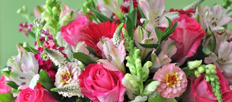 Как выбрать букет для девушки: значение и символика цветов