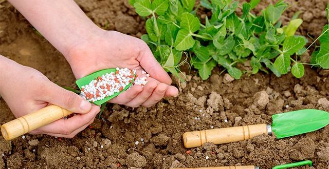 Применение миниральных удобрений