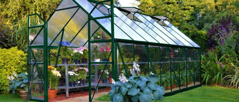 Как выбрать теплицу для огорода