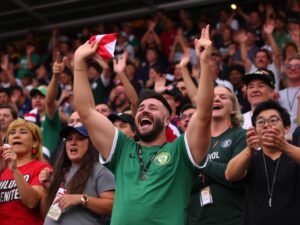 Вентиляторы: как выбрать, чтобы не просто дуть, а создавать комфорт